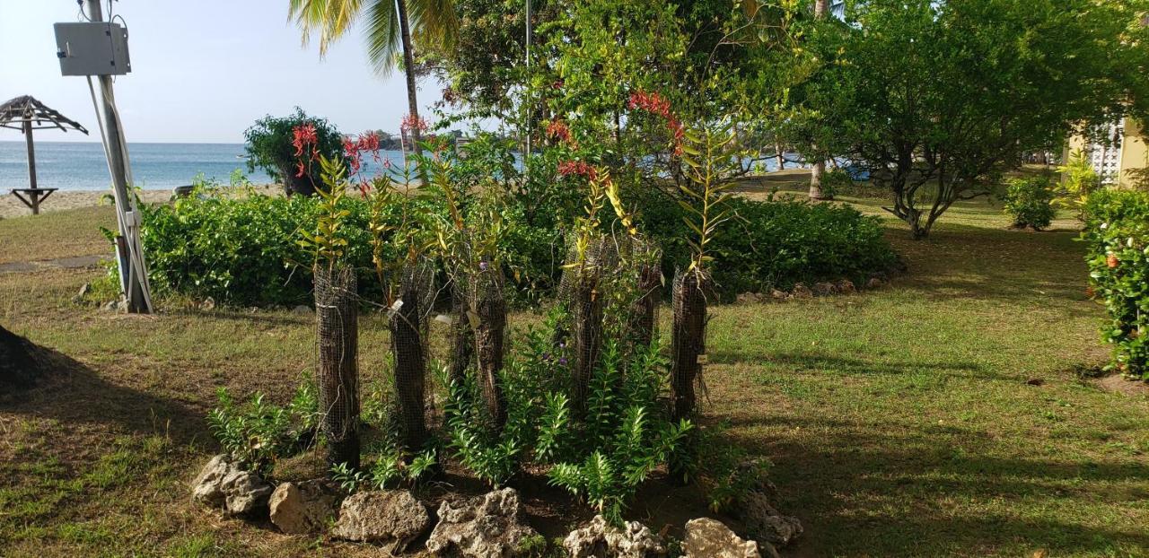 Hotel Starfish Tobago à Black Rock Extérieur photo