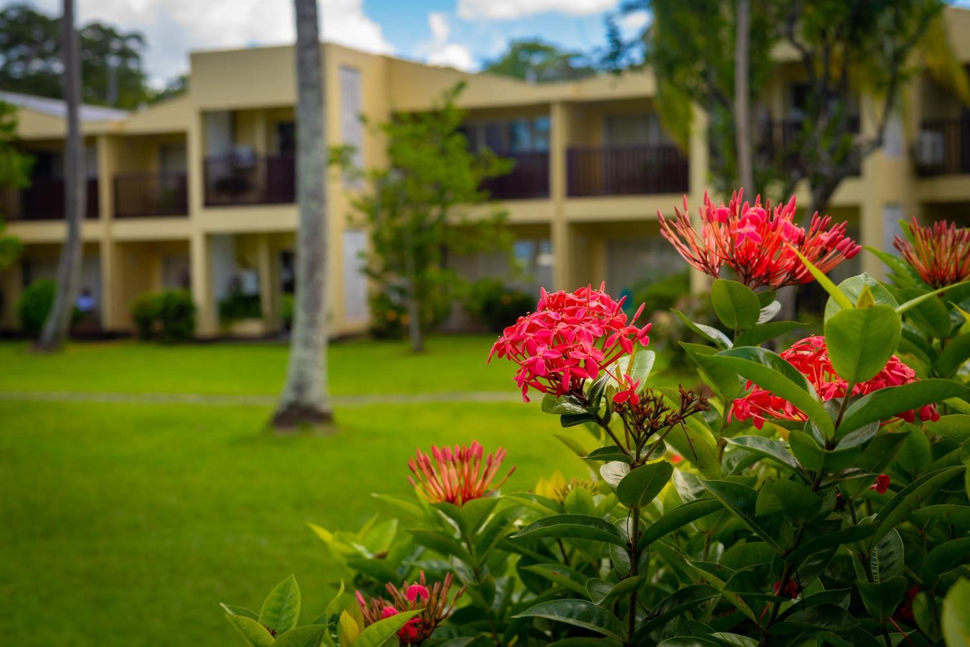 Hotel Starfish Tobago à Black Rock Extérieur photo