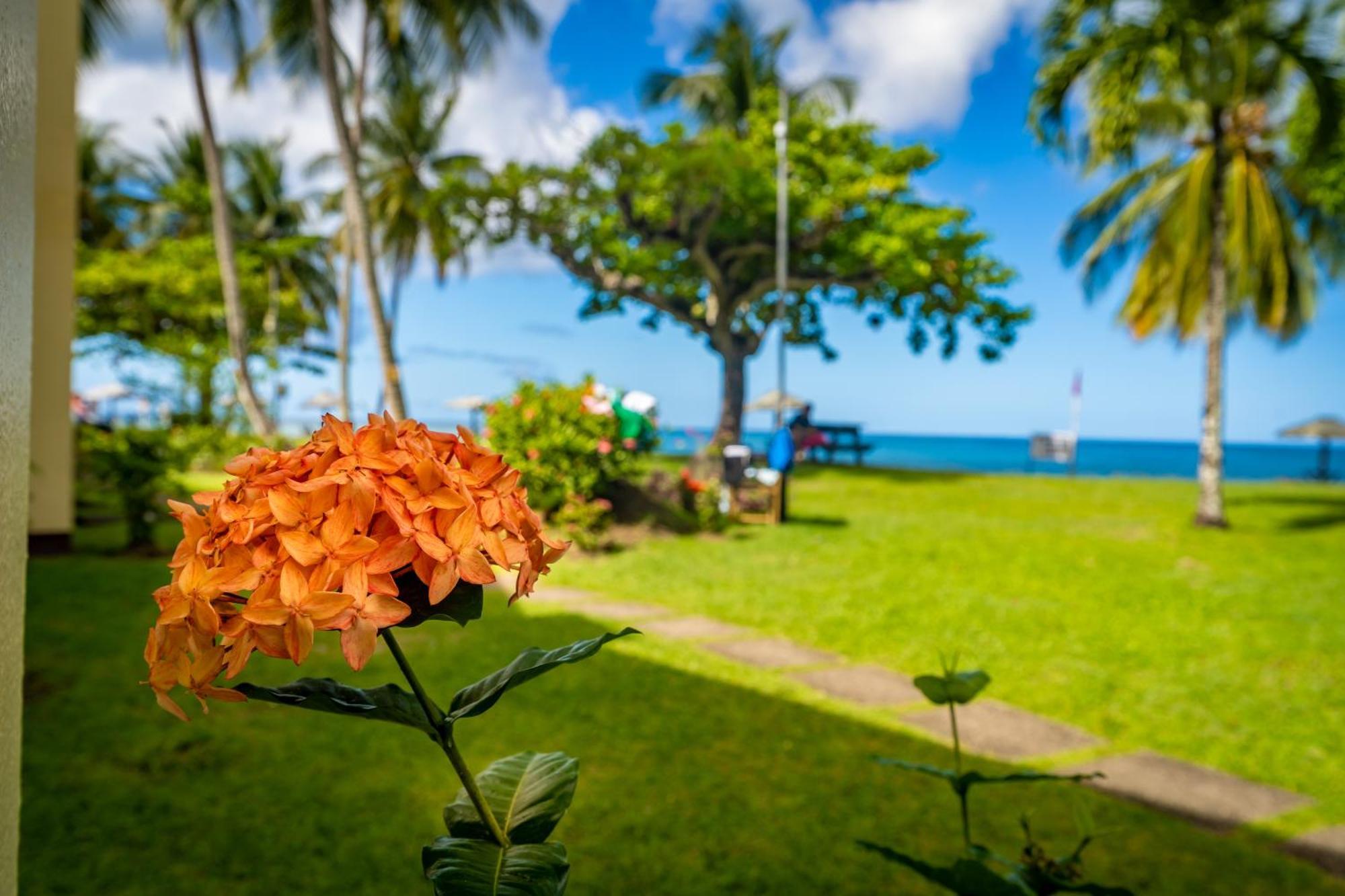 Hotel Starfish Tobago à Black Rock Extérieur photo